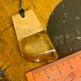 Kauri gum and swamp kauri pendant