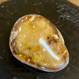 Kauri Gum Collectors Specimen