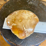 Kauri Gum Collectors Specimen