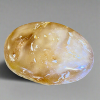 Kauri Gum Collectors Specimen