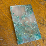 Moss agate specimen (green)