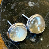 Kauri Gum Stud Earrings