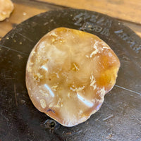 Kauri Gum Collectors Specimen