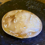 Kauri Gum Collectors Specimen