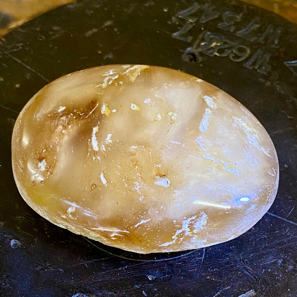 Kauri Gum Collectors Specimen