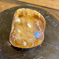 Kauri Gum Collectors Specimen