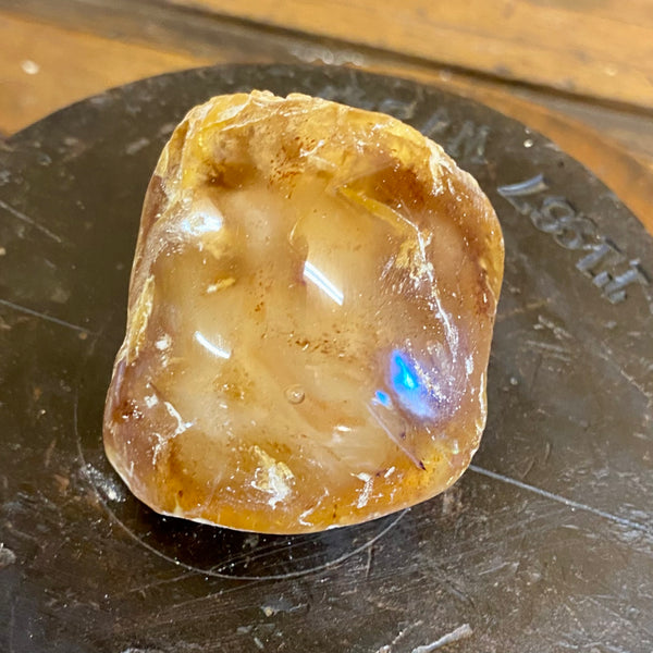 Kauri Gum Collectors Specimen