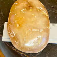 Kauri Gum Collectors Specimen