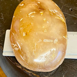 Kauri Gum Collectors Specimen