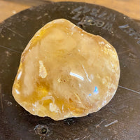Kauri Gum Collectors Specimen