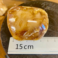 Kauri Gum Collectors Specimen