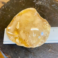 Kauri Gum Collectors Specimen