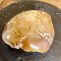 Kauri Gum Collectors Specimen