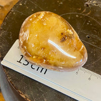 Kauri Gum Collectors Specimen
