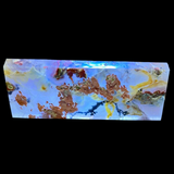 Moss (garden) agate specimen