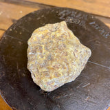 Kauri Gum Collectors Specimen