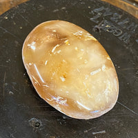 Kauri Gum Collectors Specimen
